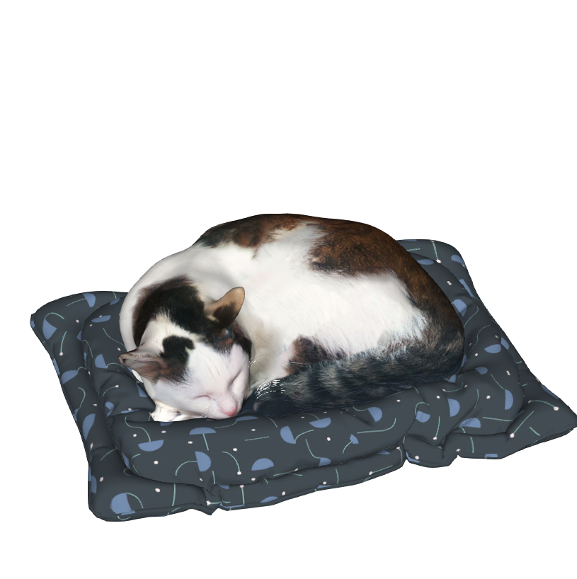 猫咪 动物3D模型-1