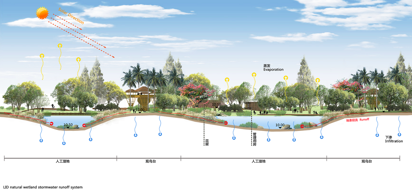精细景观剖面图 生态分析图psd-1