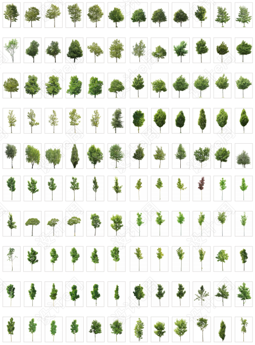 640 (13).png