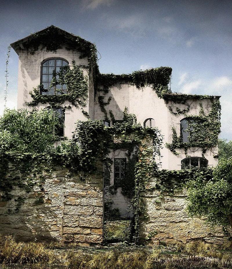 640 (14).jpg