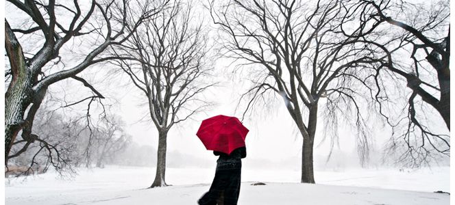 Navid Baraty：暴雪和雨摄影